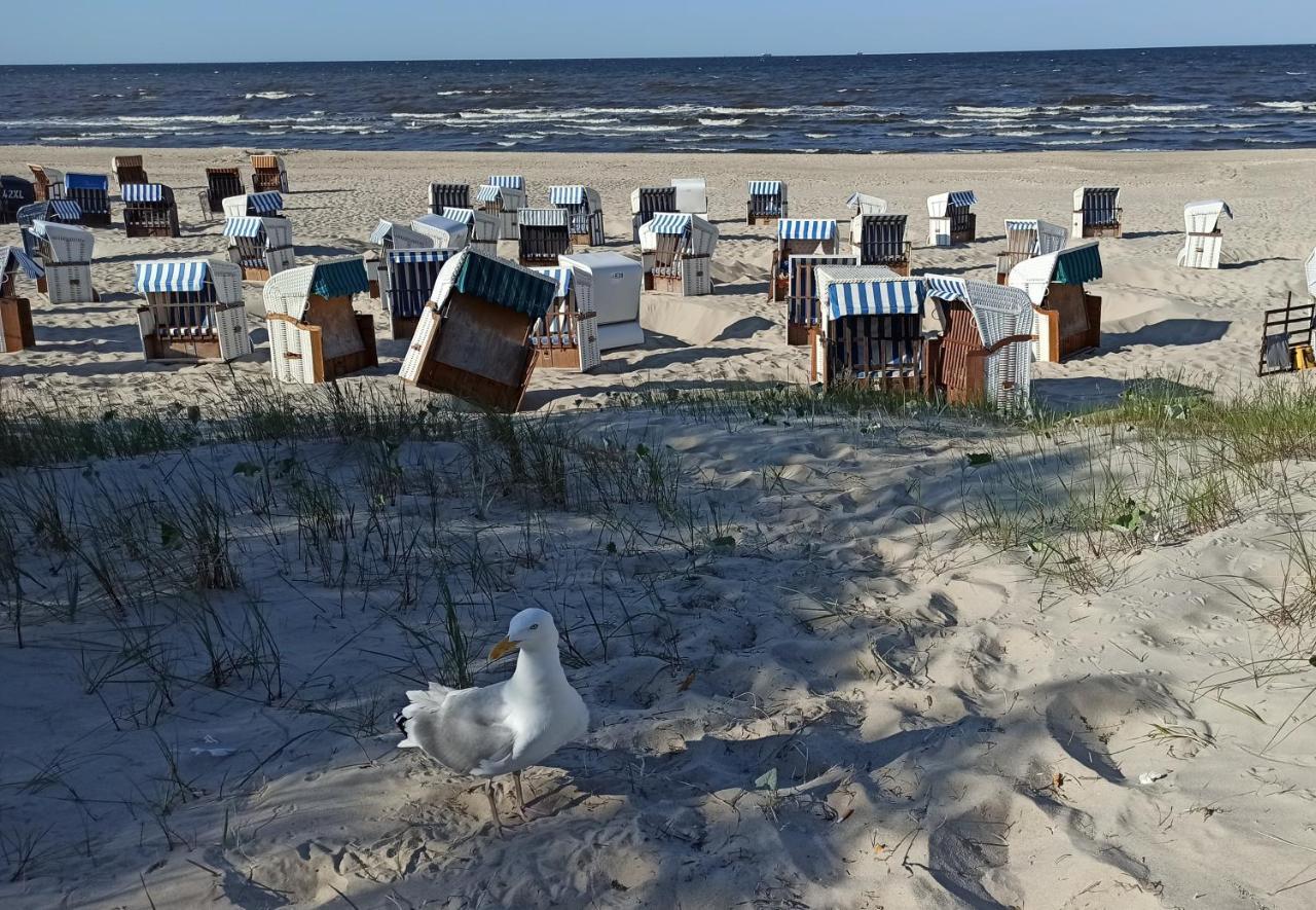 Ferienwohnung Strand25 تراسينهيد المظهر الخارجي الصورة